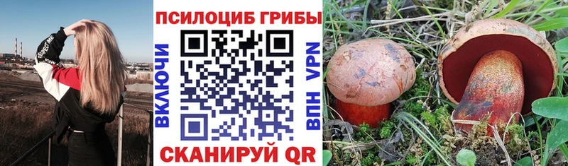 Галлюциногенные грибы Psilocybe  ссылка на мегу   Адыгейск  закладка 